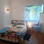 Happy Day House 호스텔 코스타 다 카파리카
