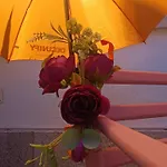 Хостел Happy Day House Кошта-да-Капарика